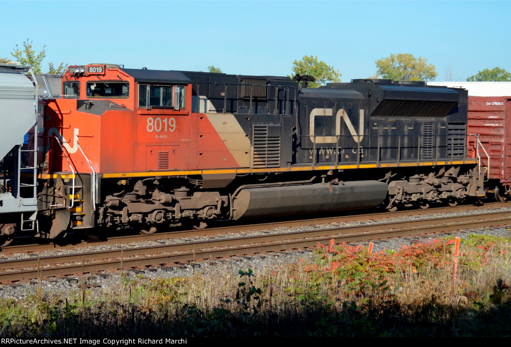 CN 8019